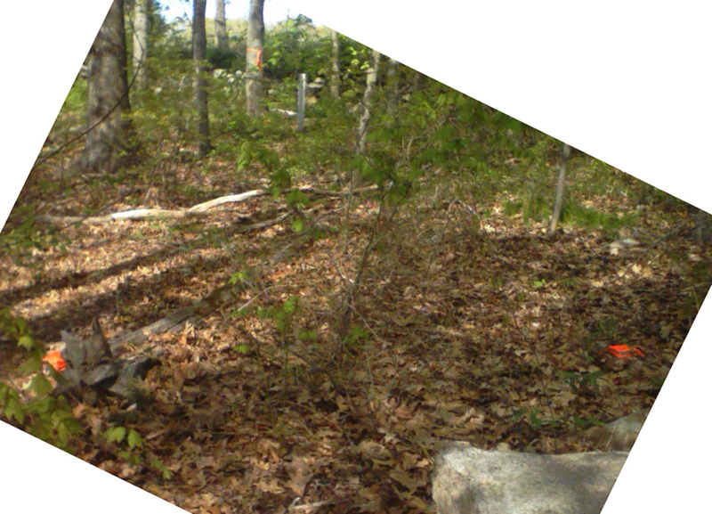 2011-ground-level-posts-orange-paint-each-side-of-10-foot-wide-easement-entrance-on-east-boundary-2