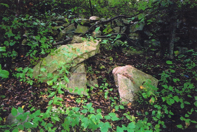 in-backyard-of-65-partridge-run-stone-wall-10-2001-picture